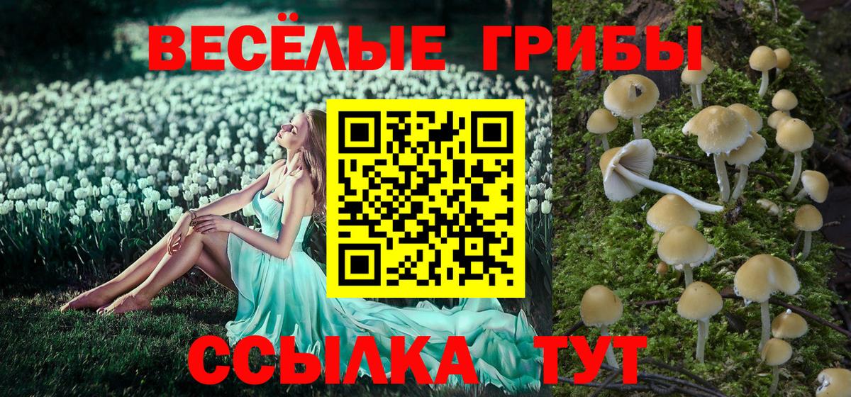 Галлюциногенные грибы Psilocybine cubensis Отрадное